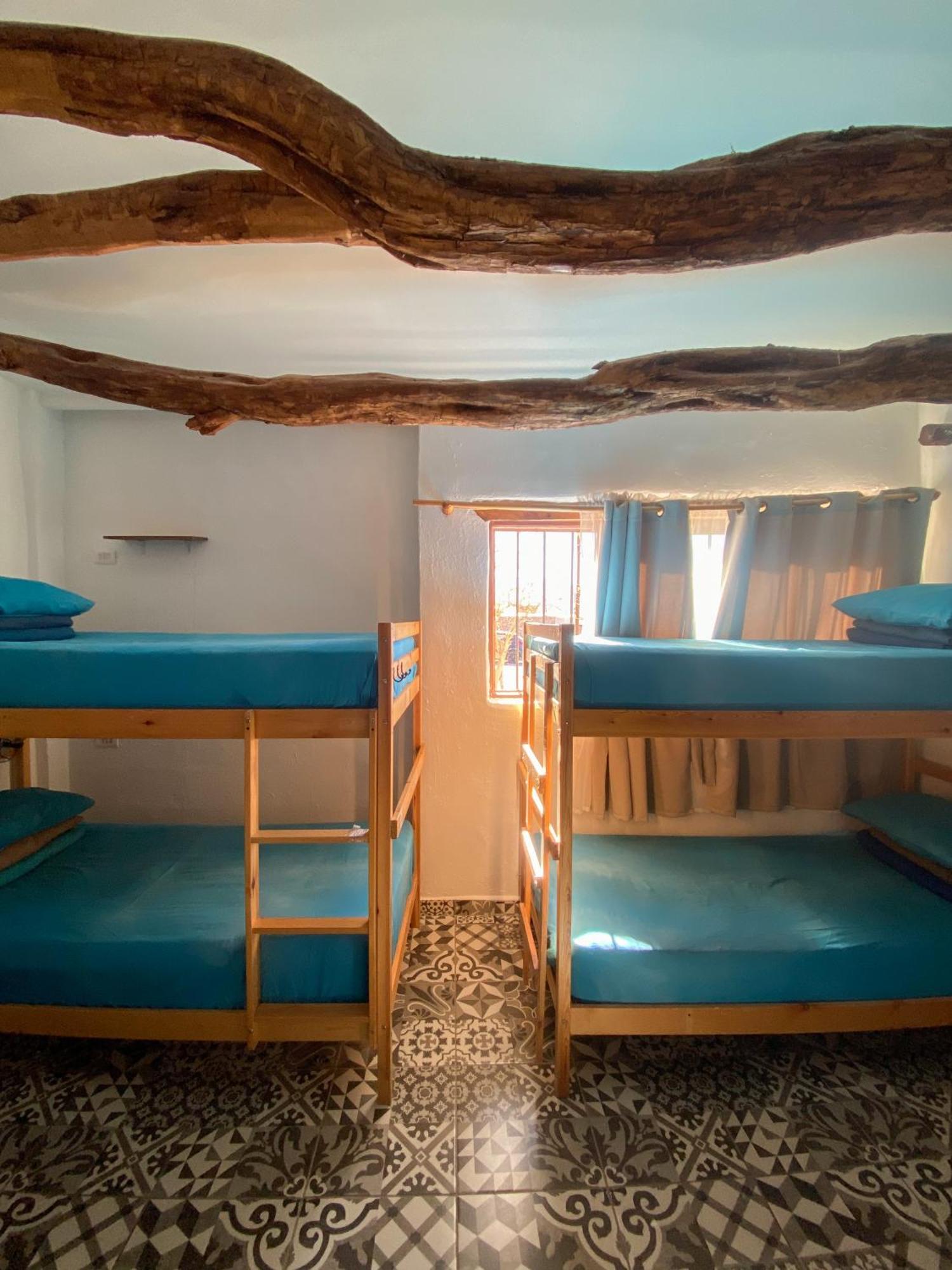 סן פדרו דה אטקאמה Rey Lagarto Hostel מראה חיצוני תמונה